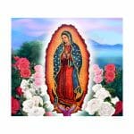 Virgen de Guadalupe 05 Tumbler Sublimation Wrap 20oz