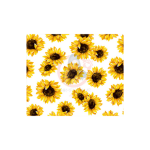 Yellow Sunflower  Sublimation Wrap 20oz