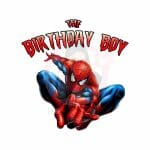 Birthday Spidey Heat Transfer Vinyl Print