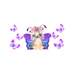 Cute Butterfly libbey Wrap 16 oz UVDTF