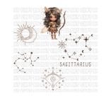 Sagittarius UVDTF Lid Decal