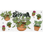 Plant Senora Libbey Wrap