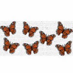 Talavera Mariposa Libbey Wrap